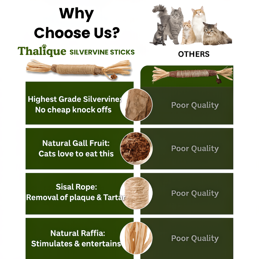 Thalique Natural Silvervine Dental Sticks