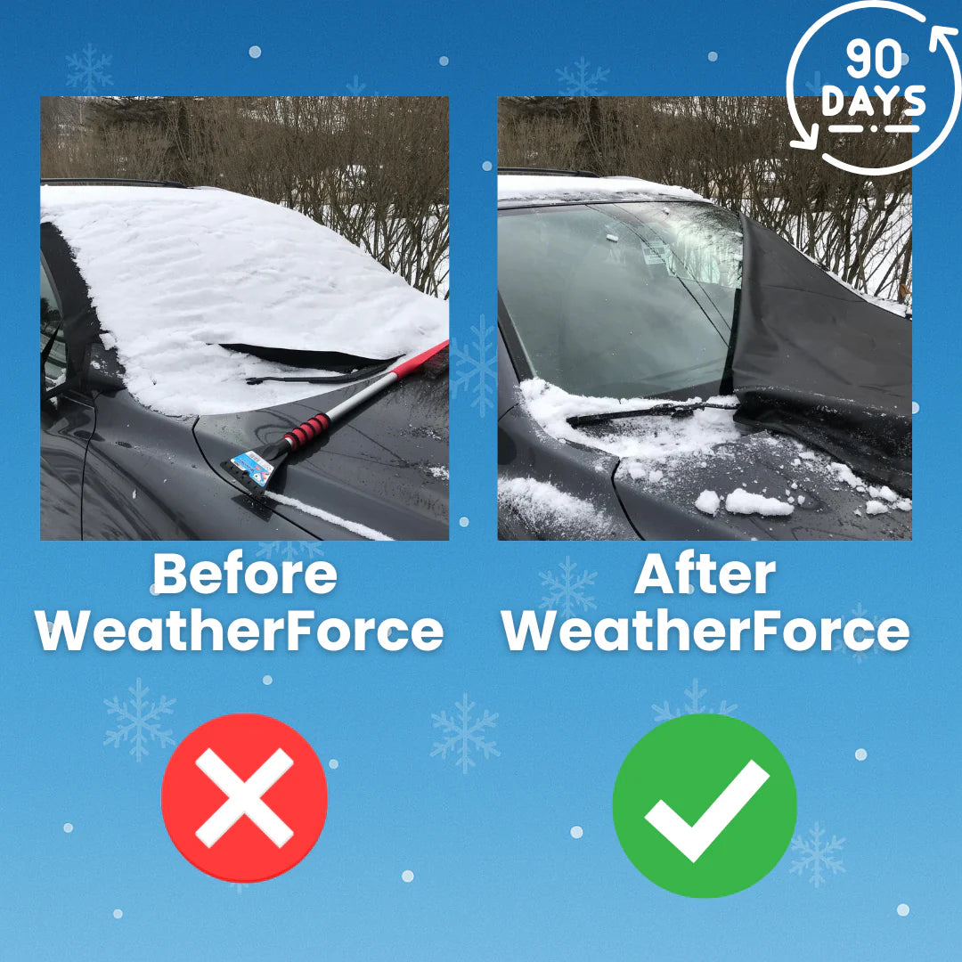 Thalique™ Windshield Snow Cover
