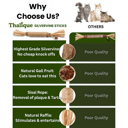 Thalique Natural Silvervine Dental Sticks
